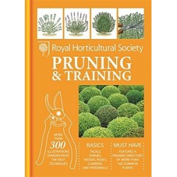 RHS Pruning & Training 