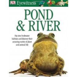 Eyewitness: Pond & River