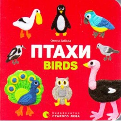 Птахи. Birds