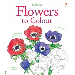 Colouring Book: Flowers to Colour