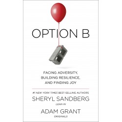 Option B: Facing Adversity, Building Resilience and Finding Joy