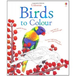 Colouring Book: Birds to Colour