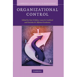 Organizational Control