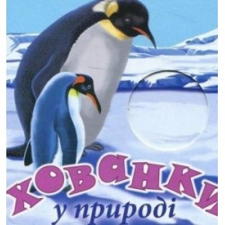 Хованки. У природі