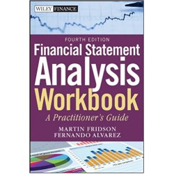 Financial Statement Analysis Workbook: A Practitioner's Guide (Wiley Finance) [Paperback]