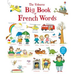 Big Book of French Words