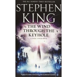 King S. Dark Tower Book8: Wind Through the Keyhole,The
