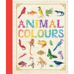 First Concept: Animal Colours
