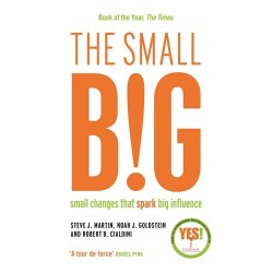 The Small Big: Small Changes That Spark Big Influence