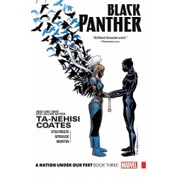 Black Panther Book3: A Nation Under Our Feet