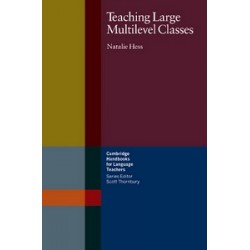 Teaching Large Multilevel Classes Book