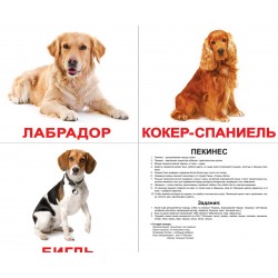 Русские большие карточки: Породы собак (ламинированные)