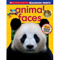 Discover More: Animal Faces