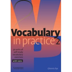 Vocabulary in Practice 2