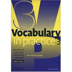 Vocabulary in Practice 3