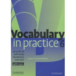 Vocabulary in Practice 6