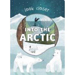 Look Closer into the Arctic