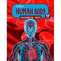 Fascinating Facts: Human Body