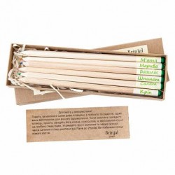 Набір олівців Eco Stick 6шт кольорові (13348)