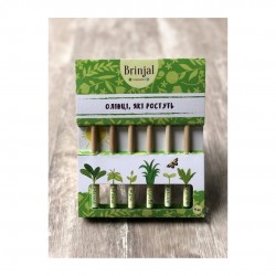 Набір олівців Eco Stick 12шт кольорові (13349)