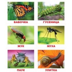 Лото. Животные (ламинированные)