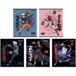 Зошит 24 арк., кл., гібр. лак + УФ лак, NR