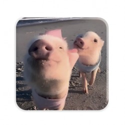 3D-стікер  3D-стікер