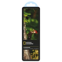 National Geographic 3-D Bookmark - Pileated Woodpecker
