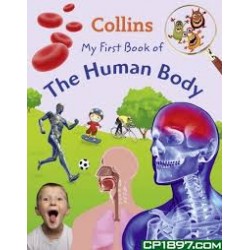 My First Book of the Human Body