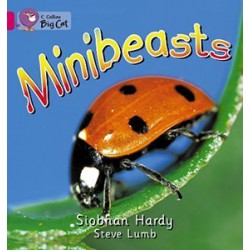 Big Cat  1A Minibeasts. Workbook. 