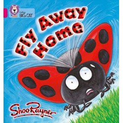 Big Cat  1B Fly Away Home. Workbook.