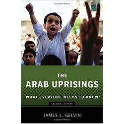 Arab Uprisings: What Everyone Needs to Know