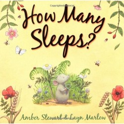 How Many Sleeps [Paperback]