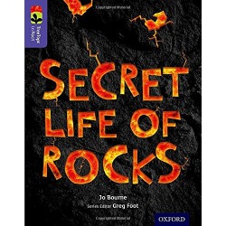 inFact 11 Secret Life of Rocks