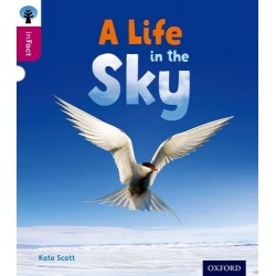 inFact 10 A Life in the Sky