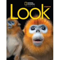 Look  Starter SB with the Spark platform (email) British English