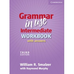 Grammar in Use Intermediate Third edition WB with answers 