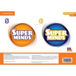 Super Minds  2nd Edition 5-6 Posters British English (10)