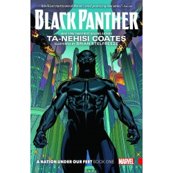 Black Panther Book1: A Nation Under Our Feet