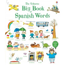 Big Book of Spanish Words
