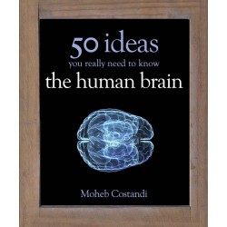 50 Ideas You Really Need to Know: Human Brain [Hardcover]