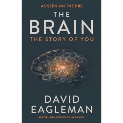 The Brain: Story of You,The