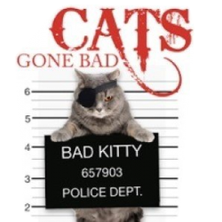 Cats Gone Bad