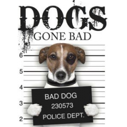 Dogs Gone Bad