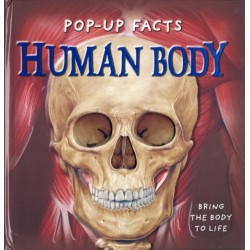 Pop-Up Facts: Human Body 