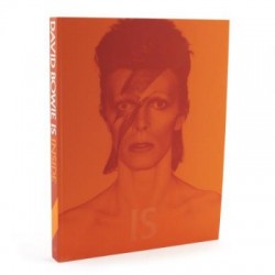 David Bowie Is [Paperback]