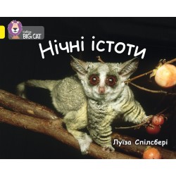 Обложка Нічні істоти Нічні істоти