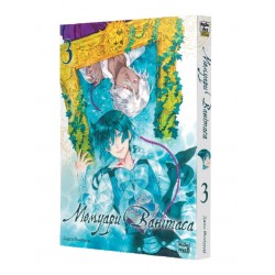 Мемуари Ванітаса. Том 3