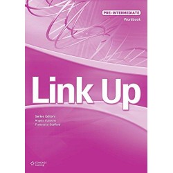 Link Up Pre-Intermediate WB