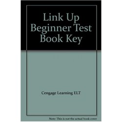 Link Up Beginner Test Book Key